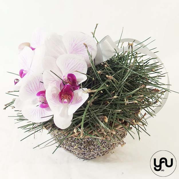 Aranjament floral orhidee pin_ A216