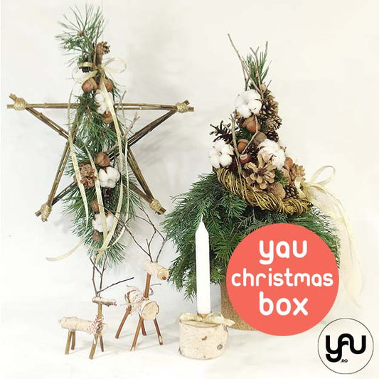 YaU Christmas BOX 6 - C182